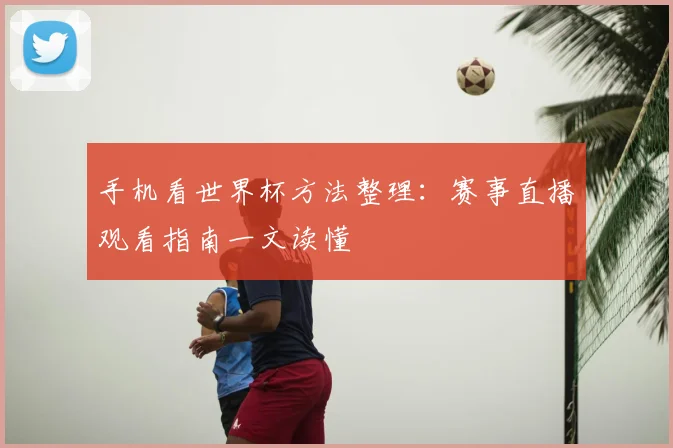 手机看世界杯方法整理:赛事直播观看指南一文读懂