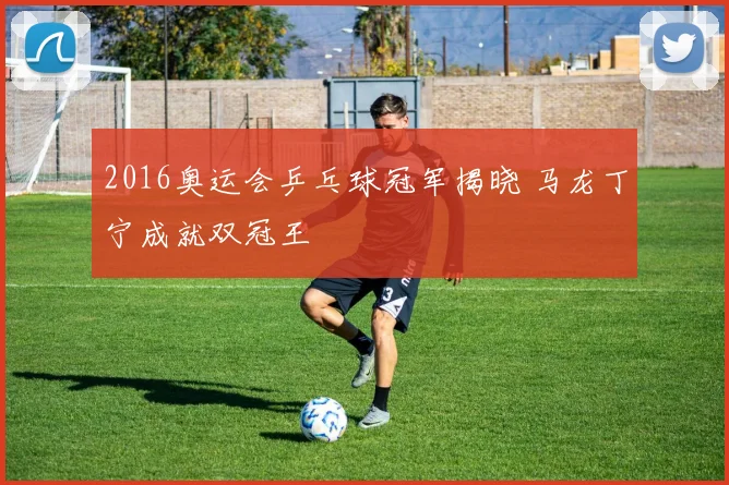 2016奥运会乒乓球冠军揭晓 马龙丁宁成就双冠王