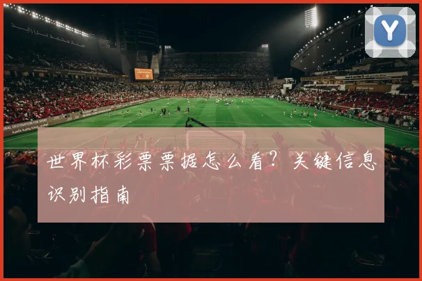 世界杯彩票票据怎么看?关键信息识别指南