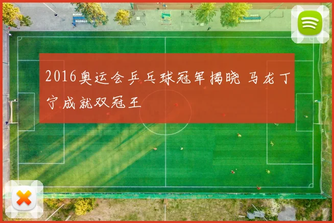 2016奥运会乒乓球冠军揭晓 马龙丁宁成就双冠王