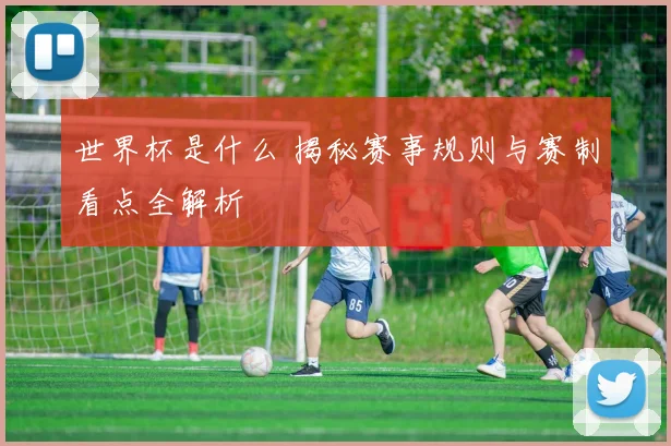 世界杯是什么 揭秘赛事规则与赛制看点全解析